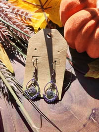 Image 2 of Pick of the Patch