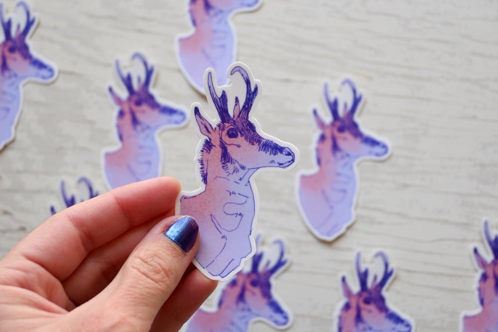 Pronghorn Antelope Sticker