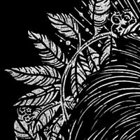 Image 3 of Porcupine & Blueberries