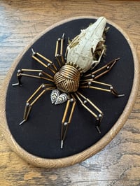Image 3 of Rabbit skill spider (a, 5x7 inches)