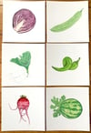 Vegetable postcards 