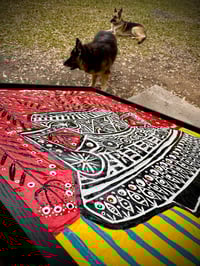 Image 5 of “Find Your Light and Bloom”