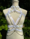 Elastic Butterfly Harness #10