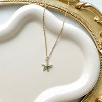 Image 1 of STARFISH