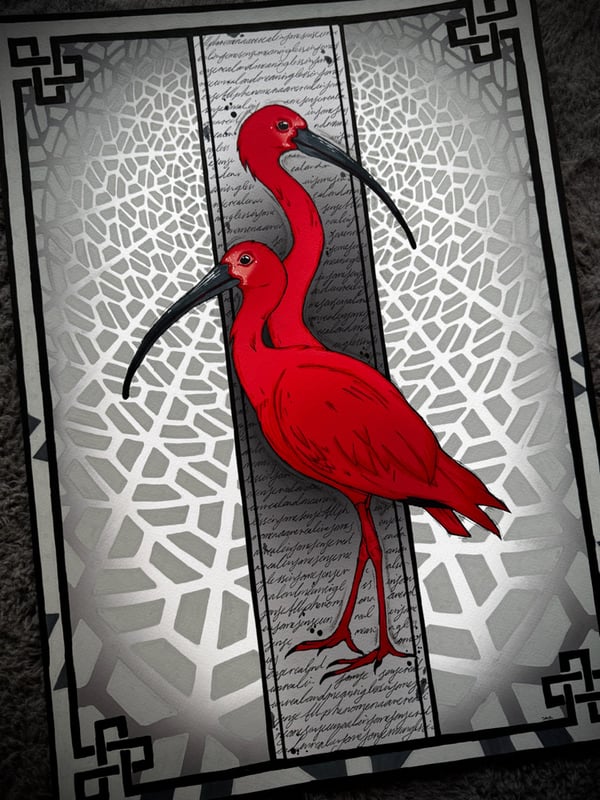 Image of Scarlet Ibis Prints