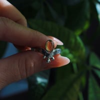 Image 2 of Citrine Wish