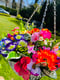 Image of 14inch Grey Bright Colours