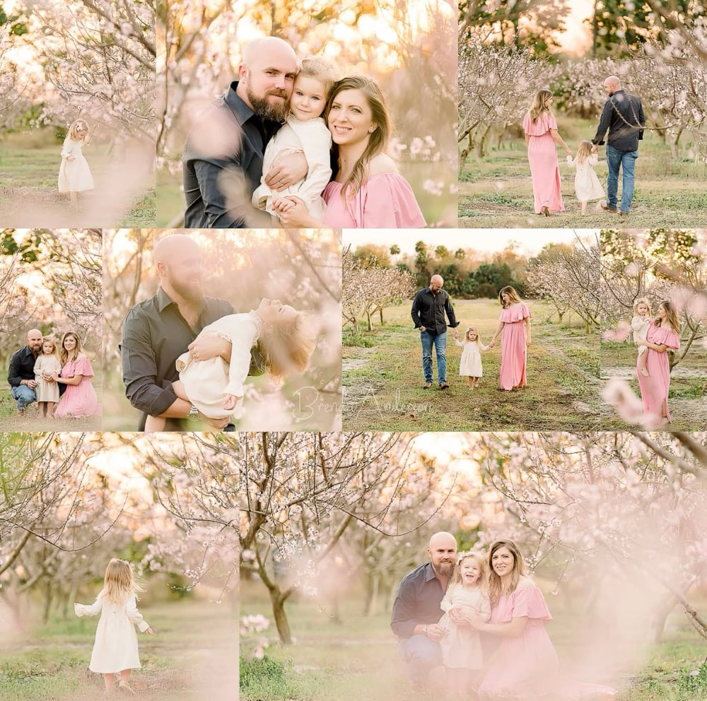 Image of Peach Orchard Minis