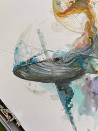 Image 5 of Baleine verte 