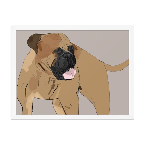 Image of BULL MASTIFF FRAMED ART