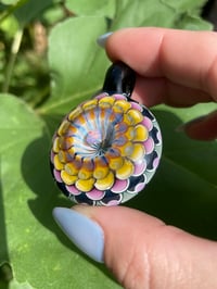 Image 4 of trillion sunrays