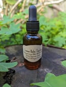 Image 2 of Lemon Balm Tincture