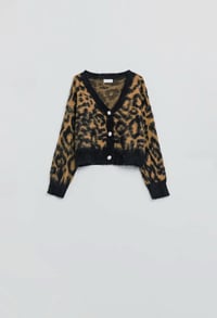 Image 1 of Leopard Print Cardigan 