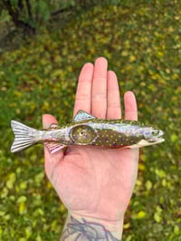 Image 2 of Brook Trout - Mother of Pearl