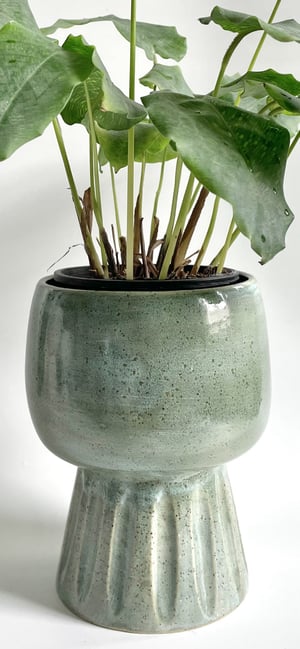 Image of Pedestal planter 3 