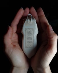 Image 2 of Diprosopus kitten 