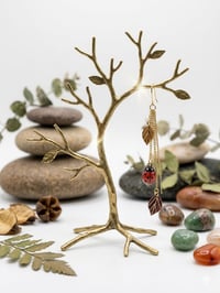 Image 2 of Ladybug 🐞 