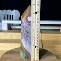 Image 8 of Ocean Jasper Tower (46A)