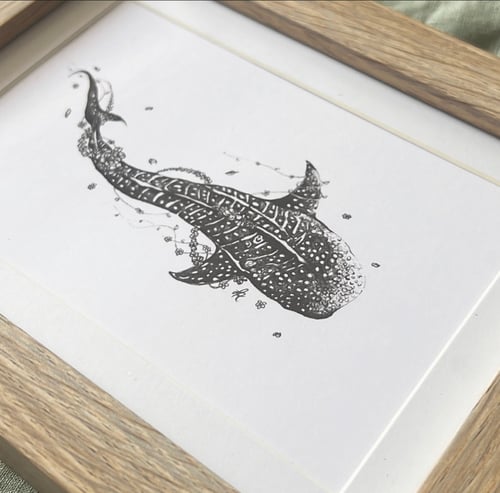 Image of Floral Whale Shark 