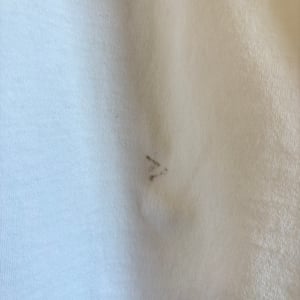 Image of 'Sante Fe, New Mexicat' T-Shirt