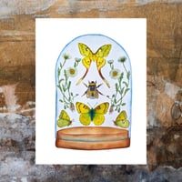 Image 2 of Insect Art Print April Dome, Under Glass Collection copy