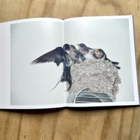 Image 7 of Rinko Kawauchi - Des Oiseaux (Signed)