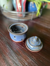 Image 2 of Blue Garlic Keeper