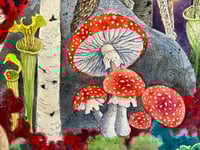 Image 2 of Red Wolves & Amanita Muscaria