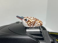 Image 1 of Brown Creeper Hotshoe Cover
