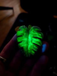 Image 4 of Variegated monstera pendant (uv reactive) 