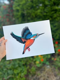 Image 1 of King fisher