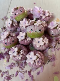 Image 1 of Petal the spring time pumpkin 