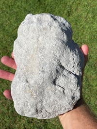 Image 5 of Celestite Cluster #1800