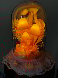 Image 1 of Pink & white mushroom LED dome