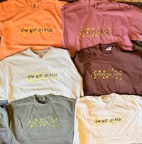 Image 5 of STARS tee and sweatshirt leftovers BFBOOTS
