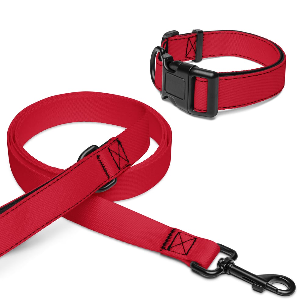 Image of Pet collar & leash Red