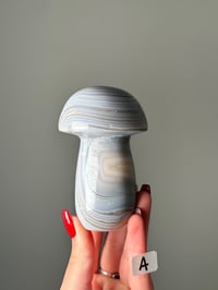 Image 1 of LARGE BANDED AGATE MUSHROOMS