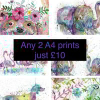Any 2 A4 prints 