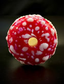 Amanita Muscaria Handheld Functional