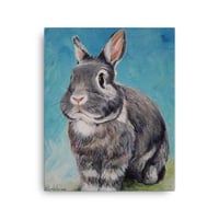 Image 2 of Grey Bunny