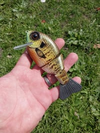 Image 2 of Preorder Buddy Gill wake