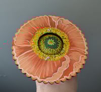 Image 3 of Icelandic Poppy Wowie