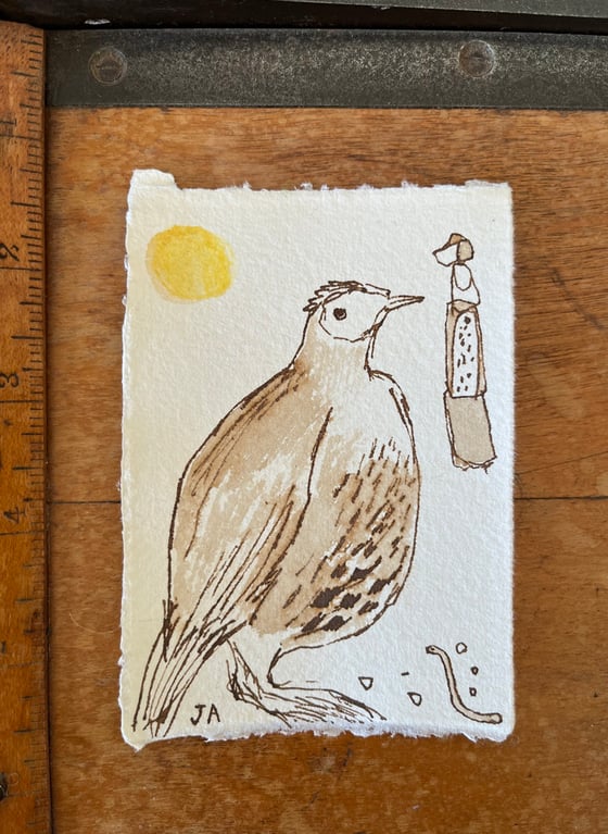 Image of Mrs leek and the worm. 