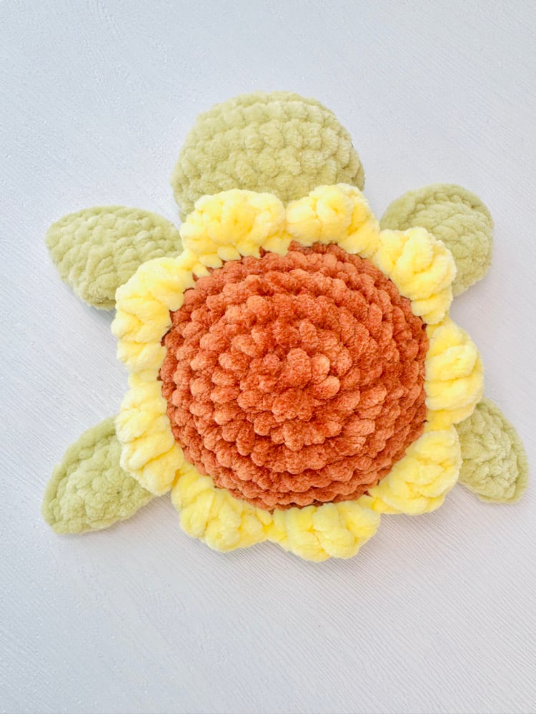Image of flower turtle preorder