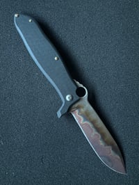 Image 1 of Bolo Fighter AEB-L