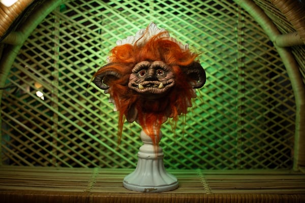 Image of Ludo 