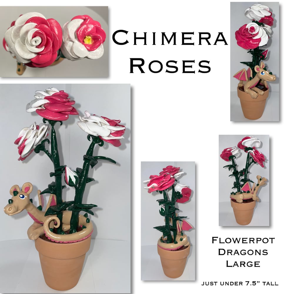 Image of 2023 Flowerpot Dragons