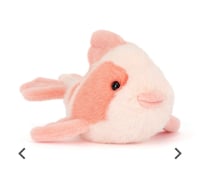 Fancy Carp