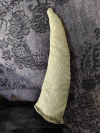 Image 3 of JESTER HORNS