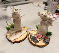Image 1 of Taxidermy Mouse Workshop 14th May - 5.30 to 9.30pm 